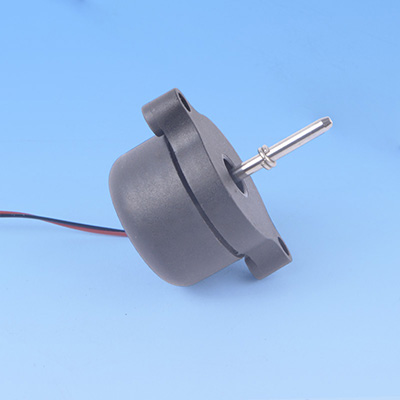 Brushless Motor